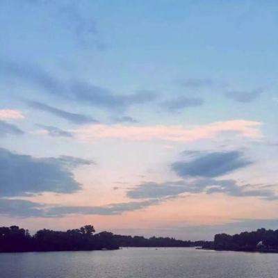 雅博app官网下载