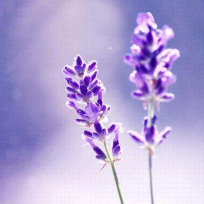 开元体育·登录入口