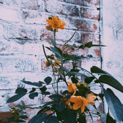 狗万manbet下载手机版截图