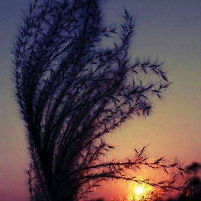 CQ9电子下载手机版