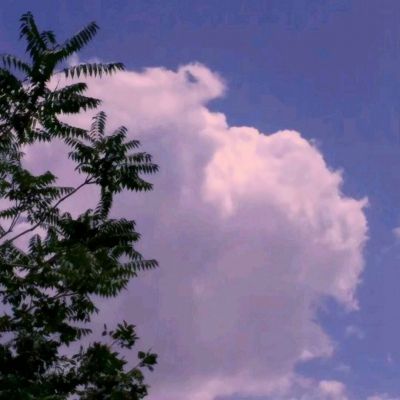 leyu·乐鱼(中国)体育官方网站app下载